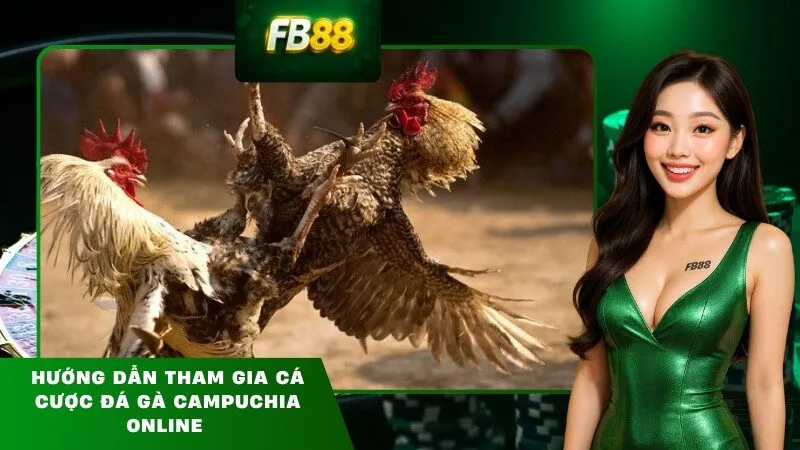 Hướng Dẫn Tham Gia Cá Cược Đá Gà Campuchia Online 