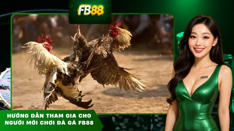 Hướng dẫn tham gia cho người mới chơi đá gà FB88