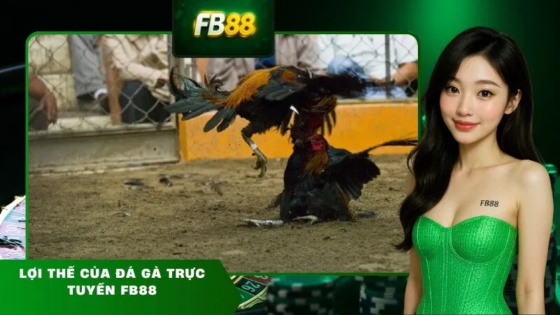 Lợi thế của đá gà trực tuyến FB88