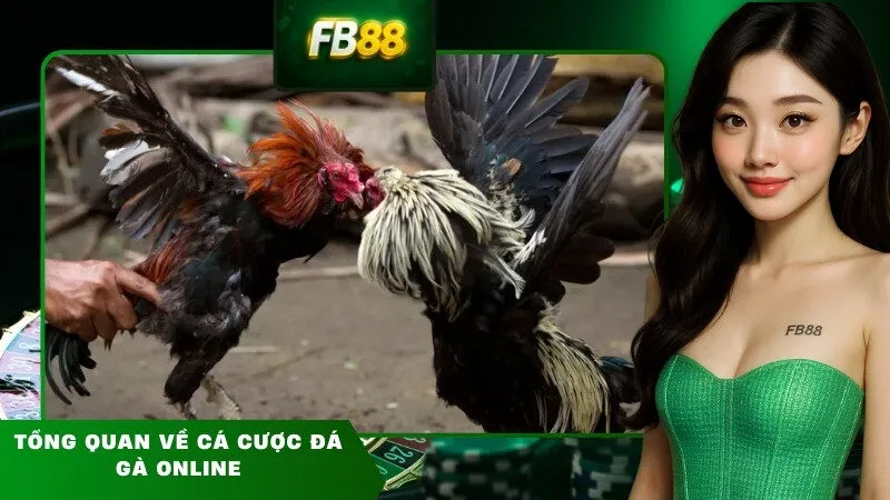 Tổng quan về cá cược đá gà online